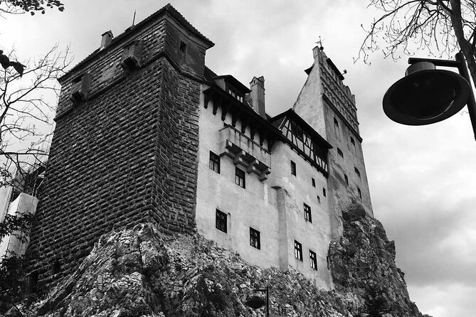 Bear Sanctuary and Bran Castle from Brasov - Timing, pickup, and group size