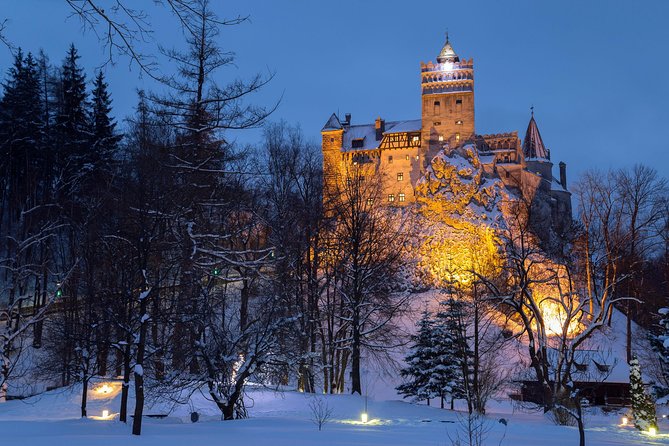 Bear Sanctuary and Bran Castle with a Professional Licensed Guide—Day Trip - Why this Brasov day trip works