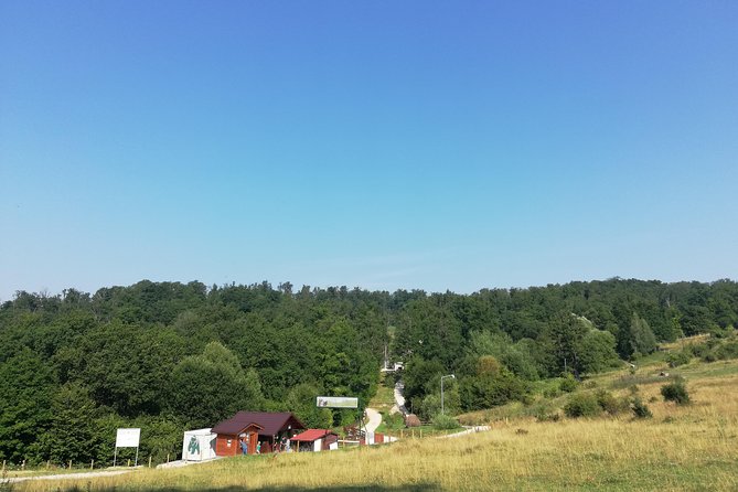 Bear Sanctuary and Dracula's Castle, 1-day Private Tour - The 6:30 a.m. start and the road north