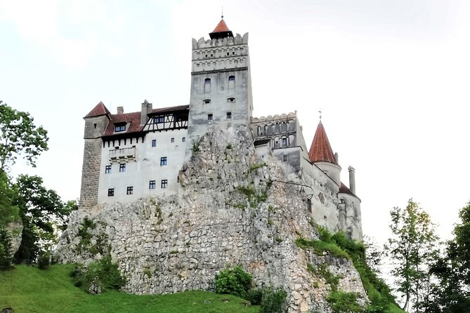 Bear Sanctuary and Dracula's Castle, 1-day Private Tour - Is the $276.04 price fair?