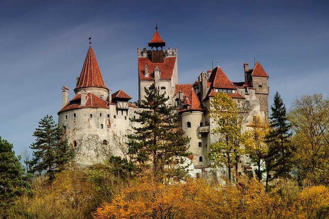 Bear Sanctuary, Bran (Dracula) Castle, Peles Castle From Brasov - Why this Brasov day trip works so well