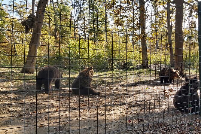 Bear Sanctuary Zarnesti,Bran Castle,Rasnov Fortres w/Hotel pickup - Transport, group size, and the guide