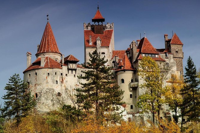 Bear Sanctuary Zarnesti,Bran Castle,Rasnov Fortres w/Hotel pickup - Rasnov Fortress above the valley