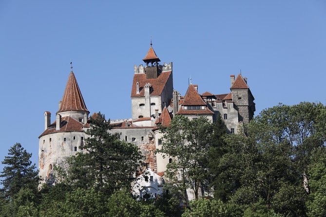 Bears Libearty Sanctuary and Dracula Bran Castle Day Trip - The long drive from Bucharest