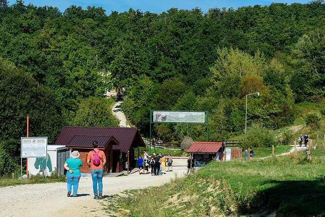 Bears Libearty Sanctuary and Dracula Bran Castle Day Trip - My verdict on the $240.77 price