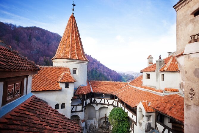 Bears Sanctuary, Dracula Castle and Poiana Brasov-Private day tour from Brasov - The 8:30 a.m. pickup from Brasov