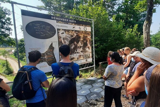 Bears Sanctuary, Dracula Castle and Poiana Brasov-Private day tour from Brasov - What Bran Castle can and cannot promise