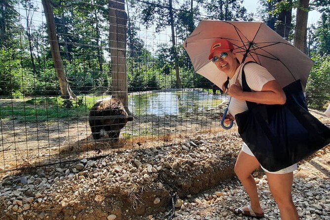 Bears Sanctuary, Dracula Castle and Poiana Brasov-Private day tour from Brasov - Ending above Brasov in Poiana Brasov