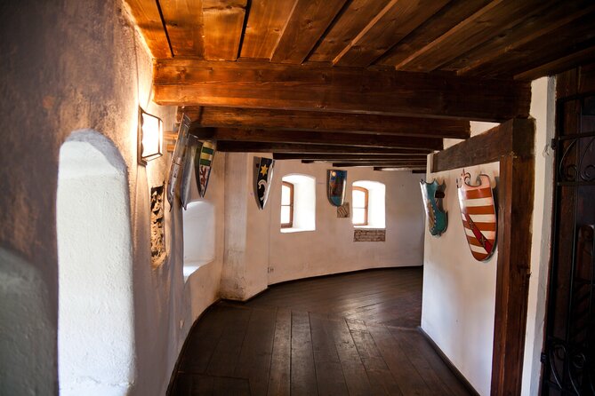 Bears Sanctuary, Dracula Castle and Poiana Brasov-Private day tour from Brasov - Meeting the rescued bears at Libearty