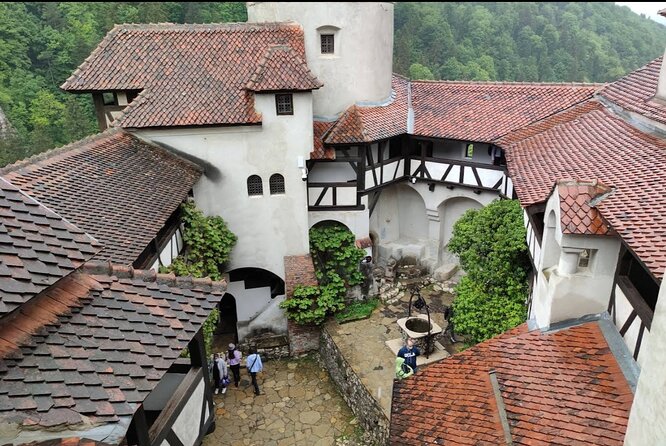 Bears Sanctuary, Dracula's Castle and Brașov City - Private Tour - Why this Bucharest day trip works