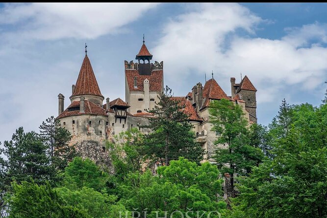 Bears Sanctuary, Dracula's Castle and Brașov City - Private Tour - Starting with bears at Libearty in Zărnești