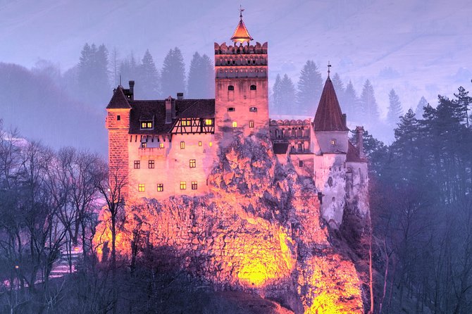 Bears Sanctuary, Dracula's Castle, Brasov Day Trip Private Tour from Bucharest - Transport, timing, and the value of a private tour