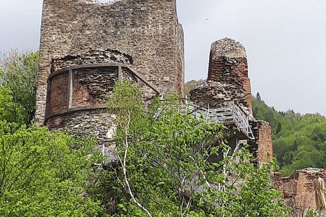 Bears Sanctuary, Dracula's Castle, Brasov Day Trip Private Tour from Bucharest - What to budget beyond the tour price