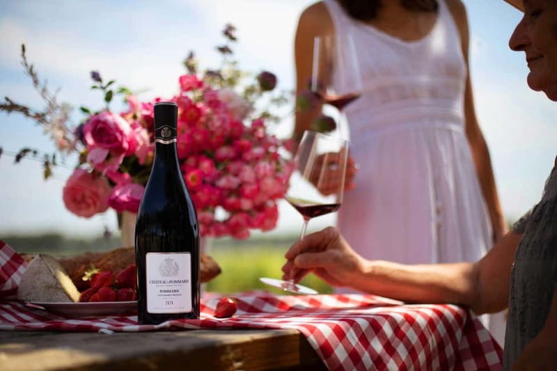Beaune: Wine Tasting at Château de Pommard - Four wines, and what the tasting is trying to teach