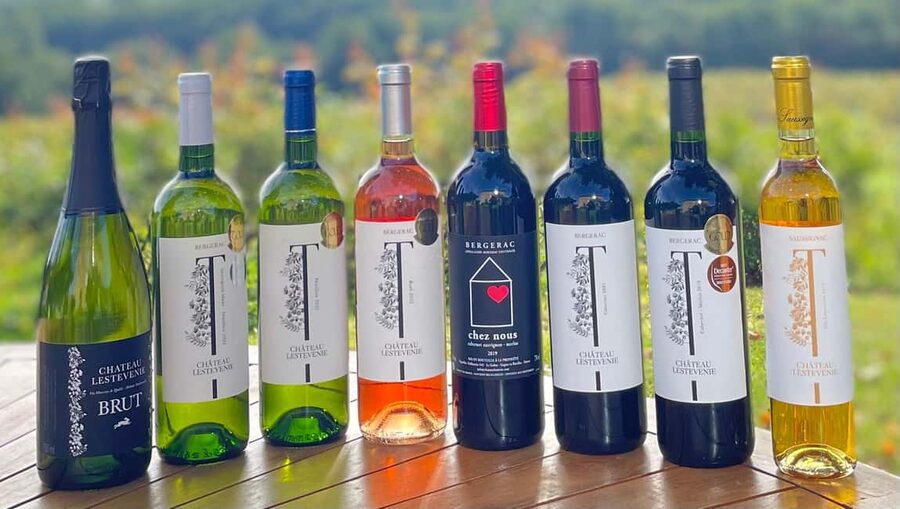 Bergerac: Wine Tasting at Chateau Lestevenie - Key points at a glance
