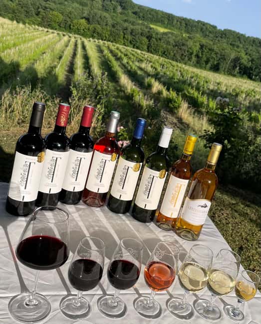 Bergerac: Wine Tasting at Chateau Lestevenie - Tasting up to six Bergerac wines