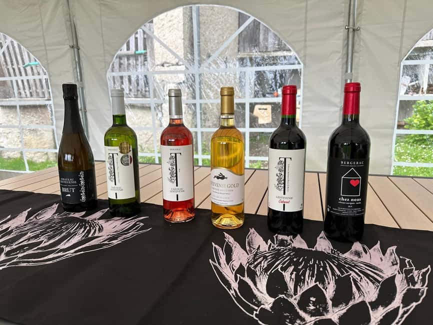 Bergerac: Wine Tasting at Chateau Lestevenie - The short vineyard tour and the story behind the bottles