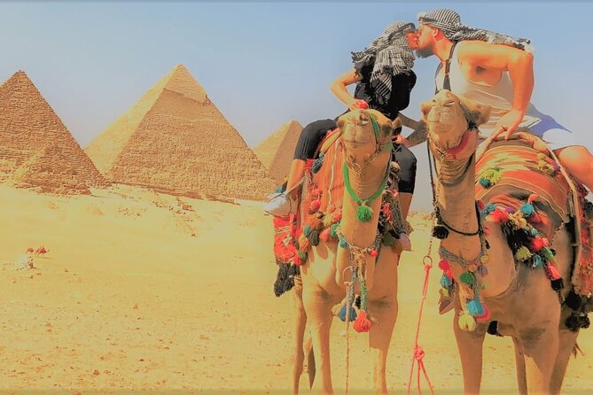 Best of Cairo Day Tour Giza Pyramids & Egyptian Museum & The Citadel & Lunch - The Egyptian Museum: three hours with 120,000 objects