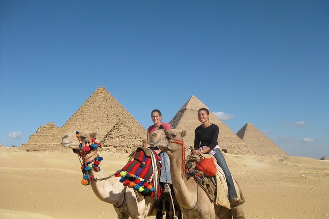 Best of Cairo Day Tour Giza Pyramids & Egyptian Museum & The Citadel & Lunch - Who should book this experience