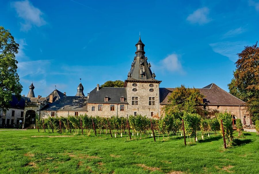 Bioul (near Dinant) : Château de Bioul Tour and Wine Tasting - A medieval beginning at the Seigneurie de Bioul