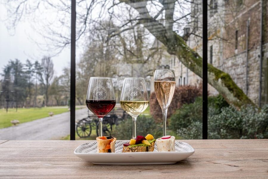 Bioul (near Dinant) : Château de Bioul Tour and Wine Tasting - The tasting brings the visit together
