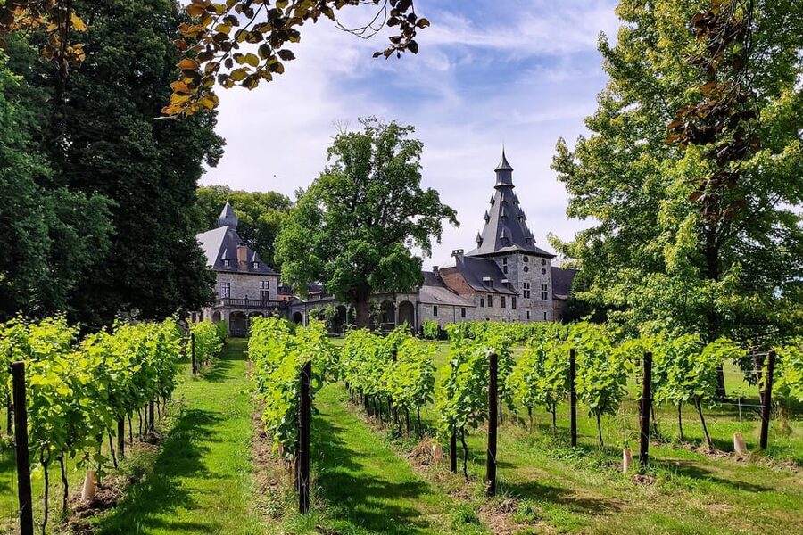 Bioul (near Dinant) : Château de Bioul Tour and Wine Tasting - Inside the château, where every period leaves a mark