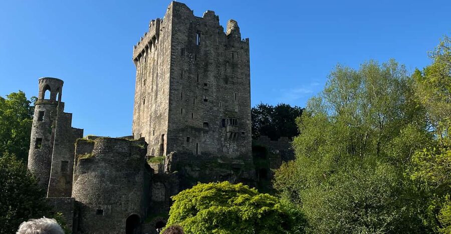 Blarney Castle and Cork City:Private taxi tour . - Photos and the pace of the day