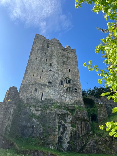 Blarney Castle and Cork City:Private taxi tour . - Why this private Cork tour works well