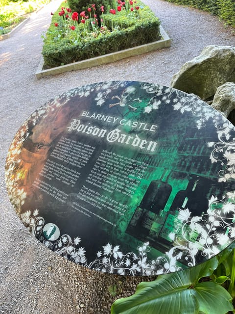 Blarney Castle and Cork City:Private taxi tour . - St Finbarr’s Cathedral and Cork’s grander side