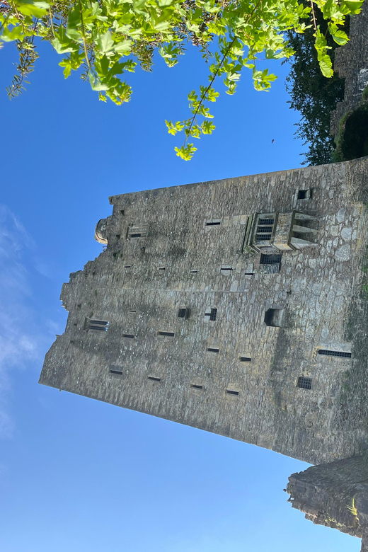 Blarney Castle and Cork City:Private taxi tour . - Sean’s storytelling, music, and local viewpoint