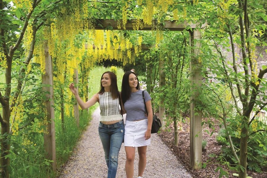 Blarney Castle Full-Day Tour from Dublin - Key points at a glance