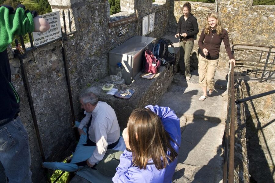 Blarney Castle Full-Day Tour from Dublin - One hour in Cork and the English Market