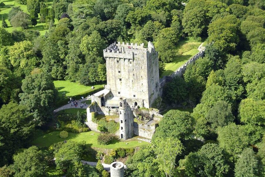 Blarney Castle Full-Day Tour from Dublin - Blarney Castle and the famous stone