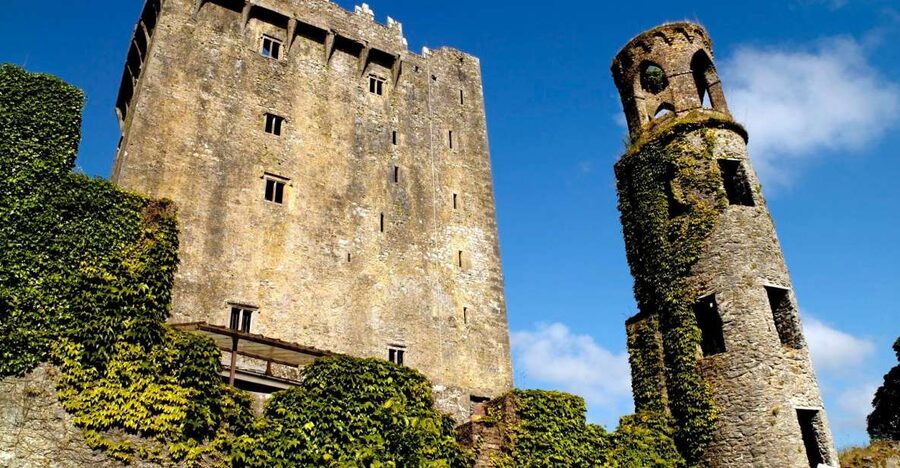 Blarney Castle Full-Day Tour from Dublin - Guides, vehicles, and the feel of the day