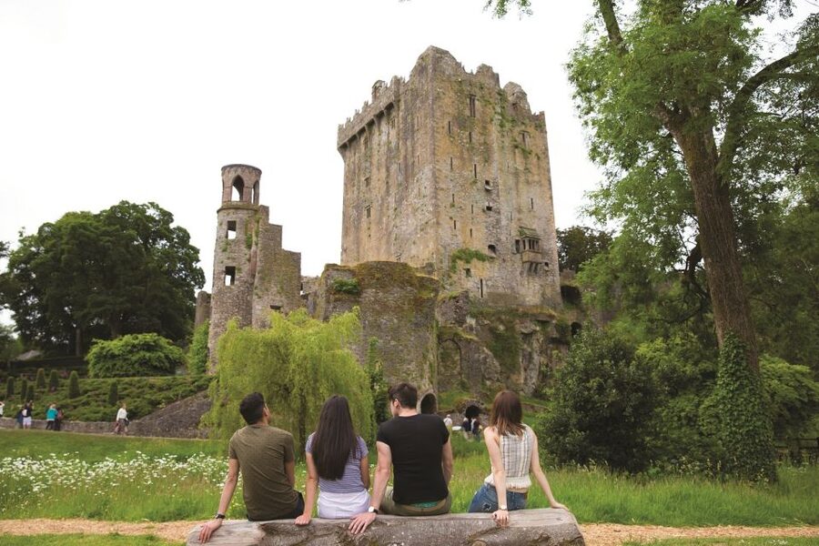 Blarney Castle Full-Day Tour from Dublin - The morning drive through the Golden Vale