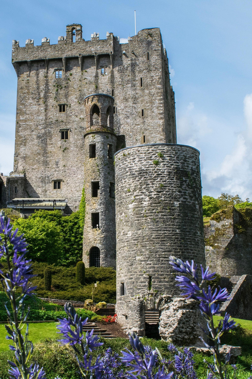 Blarney Castle: Private Guided Day Tour from Dublin - The Rock of Cashel gives the morning real weight