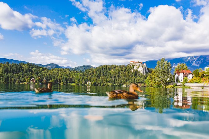 Bled lake, island & castle | Private half day trip from Ljubljana - Key points to know before booking