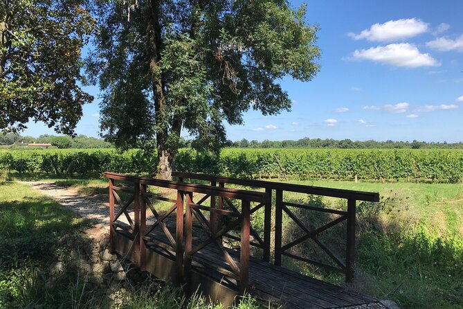 Blending workshop and tour of the chateau - Why the blending workshop is the heart of the visit