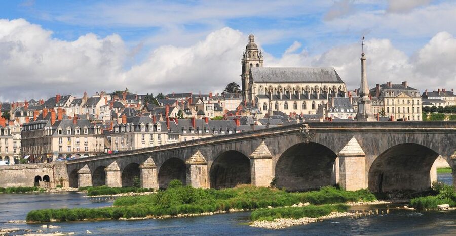 Blois: Private Tour of Blois Castle with Entry Tickets - Who should book this Blois Castle experience?