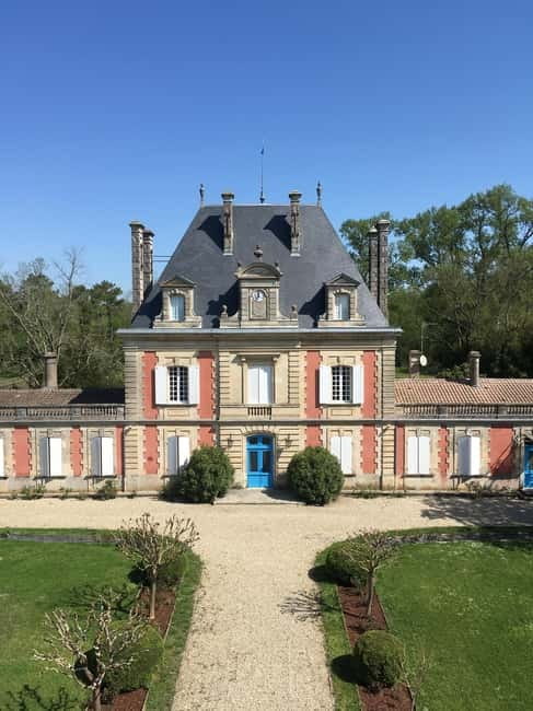 Bordeaux: Château Saint Ahon classic tour - The Vineyard: Seeing Where the Wine Begins