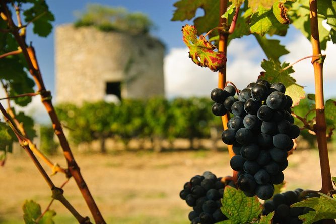 Bordeaux Full day Medoc and St Emilion 3 chateaux with Lunch - Key points at a glance