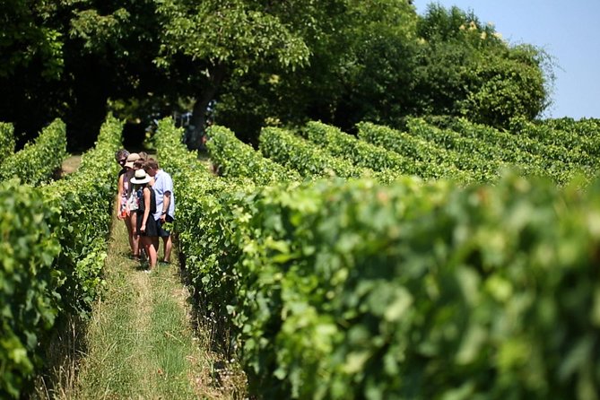 Bordeaux Full day Medoc and St Emilion 3 chateaux with Lunch - Margaux and the 1855 classified château