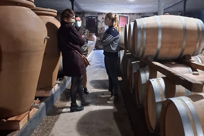 Bordeaux Médoc Region Private Wine Lovers Tour with Chateau Visits & Tastings - Booking details and practical planning