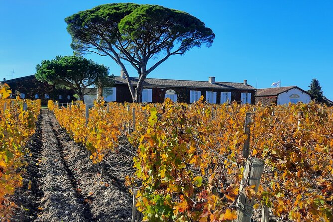 Bordeaux Médoc Region Private Wine Lovers Tour with Chateau Visits & Tastings - What makes the private format worth paying for