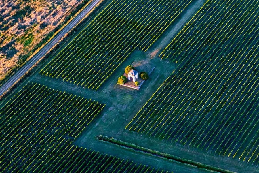 Bordeaux: Panoramic flight over vineyards and castles - Comfort, restrictions, and practical preparation