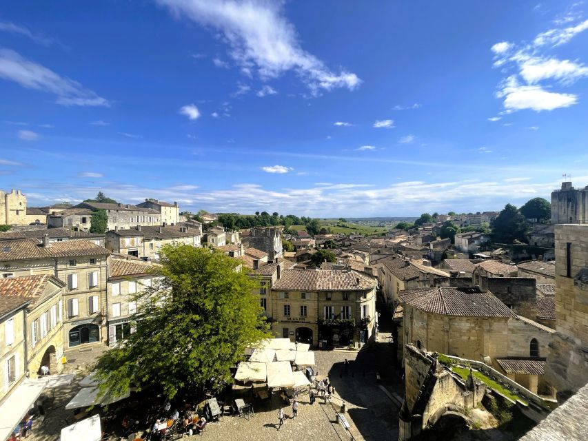 Bordeaux: Saint-Emilion Village Day Trip, 2 Chateaux & Lunch - How the guide can shape the day