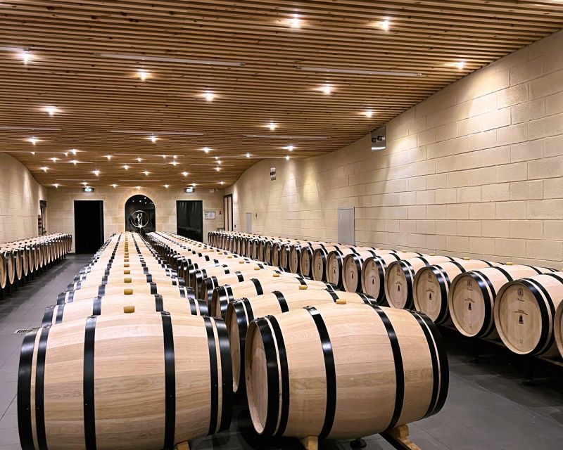 Bordeaux: Saint-Emilion Village Day Trip, 2 Chateaux & Lunch - Who should book this experience?