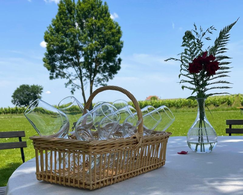 Bordeaux: Saint-Emilion Village Day Trip, 2 Chateaux & Lunch - Meeting at Place des Quinconces