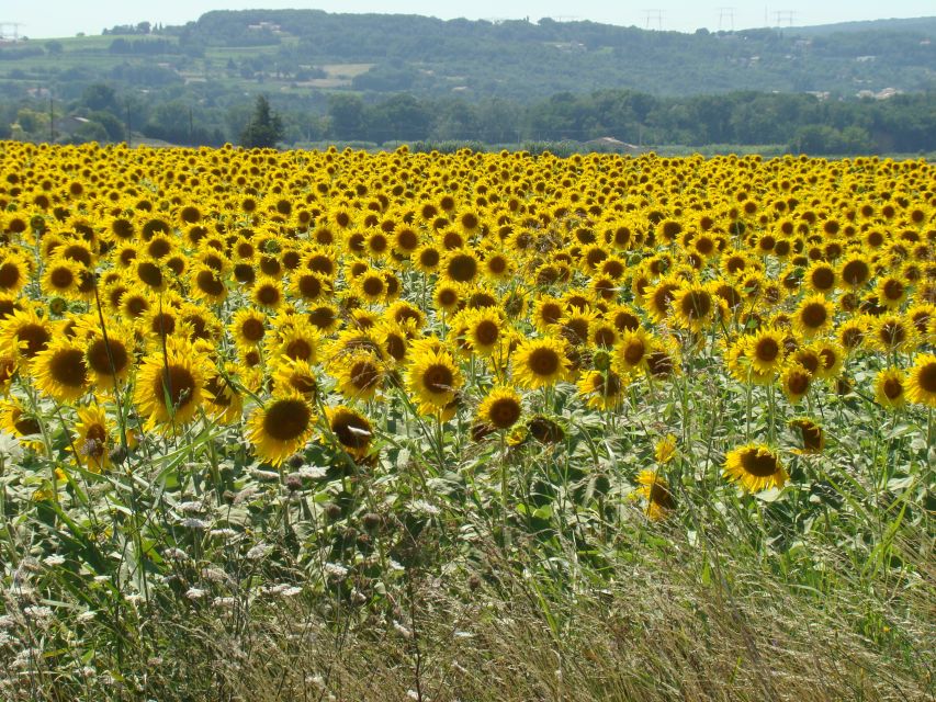 Bordeaux to Dordogne: Castles & Villages Private Tour - La Roque-Gageac beside the Dordogne River