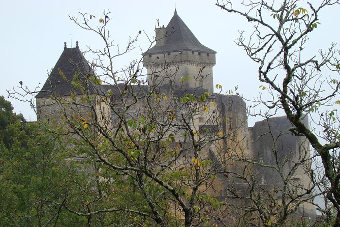Bordeaux to Dordogne - Private Tour: Fortified Castles and Medieval Villages - Sarlat, two hours among stone streets and local food